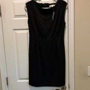 NWT Loft Dress, size 8
